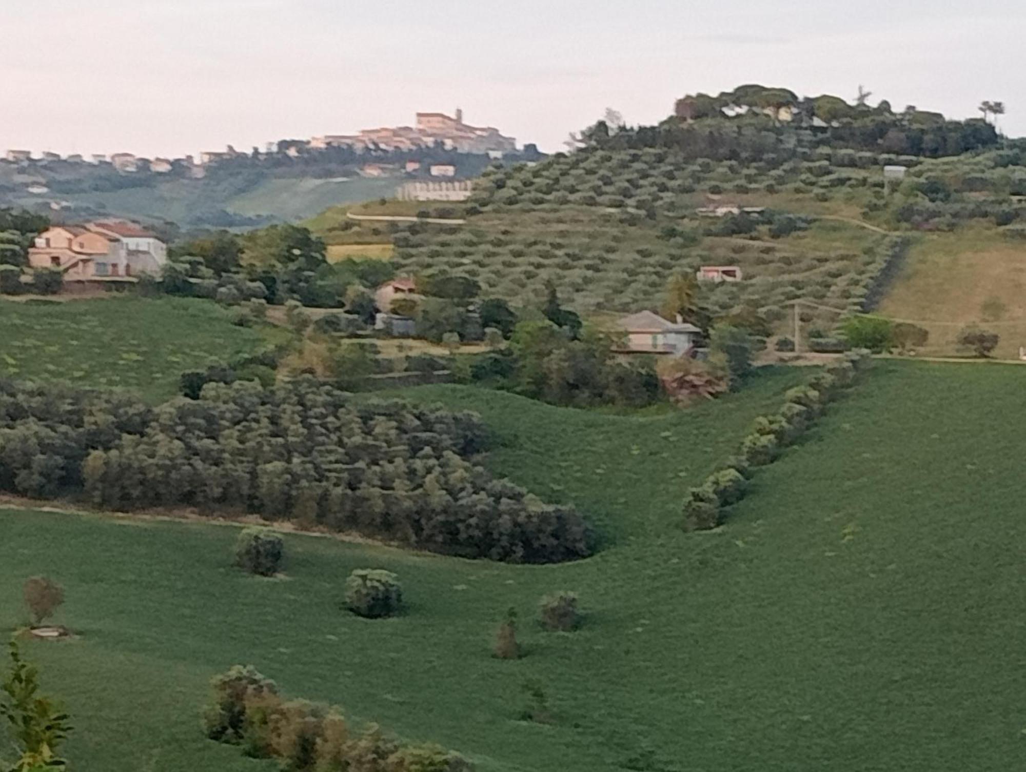 Fiordiloto Apartamento Monsampolo Del Tronto Exterior foto